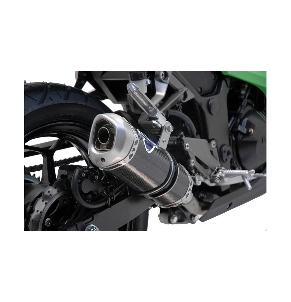 Termignoni Kawasaki Ninja 300 R