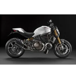 Termignoni Ducati Monster 821